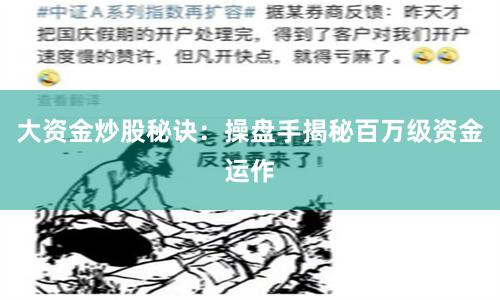 大资金炒股秘诀：操盘手揭秘百万级资金运作